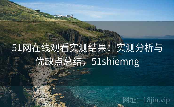 51网在线观看实测结果：实测分析与优缺点总结，51shiemng