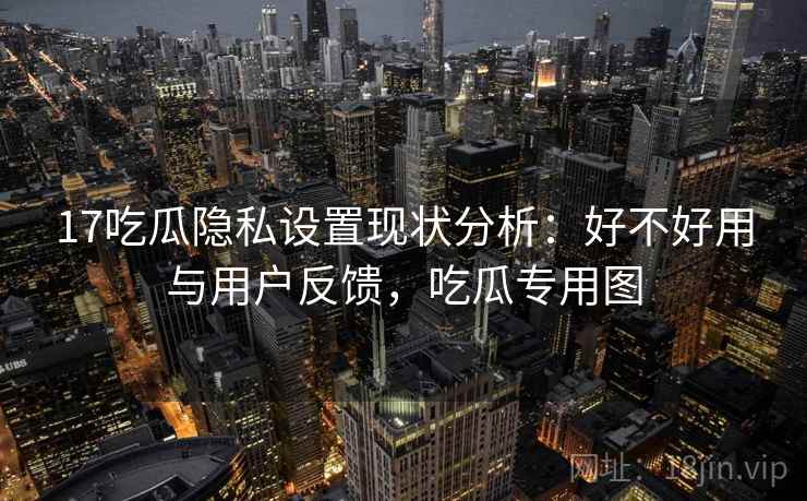 17吃瓜隐私设置现状分析:好不好用与用户反馈,吃瓜专用图 17吃瓜隐私设置现状分析:好不好用与用户反馈,吃瓜专用图