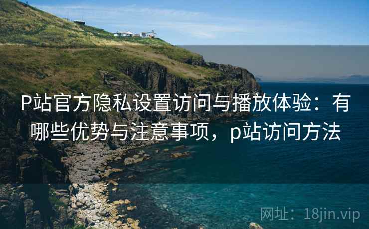 P站官方隐私设置访问与播放体验:有哪些优势与注意事项,p站访问方法 P站官方隐私设置访问与播放体验:有哪些优势与注意事项,p站访问方法